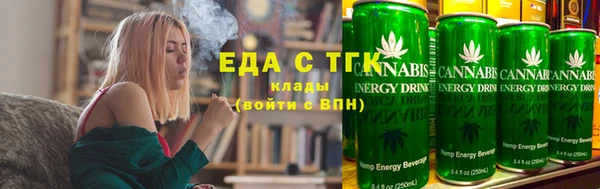 индика Алексин