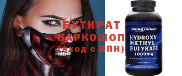 индика Алексин
