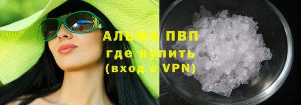 индика Алексин