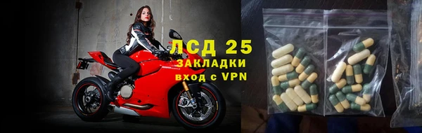 индика Алексин