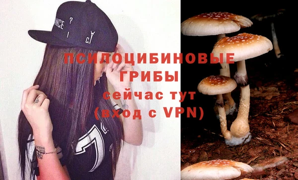 индика Алексин