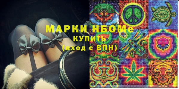 индика Алексин