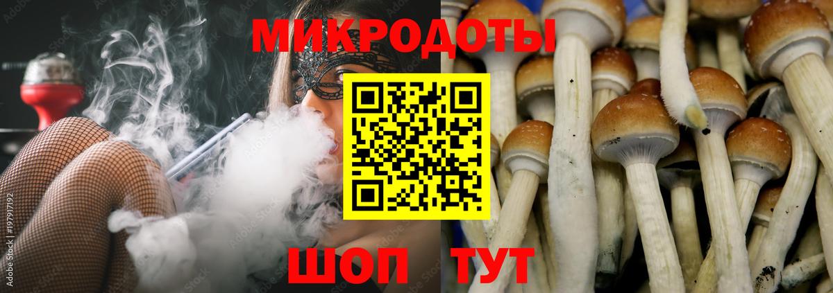 Псилоцибиновые грибы ЛСД Тихвин