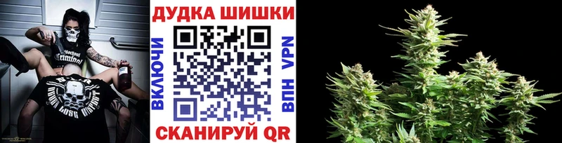 Конопля гибрид  Тихвин 